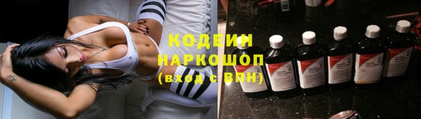хмурый Каменногорск
