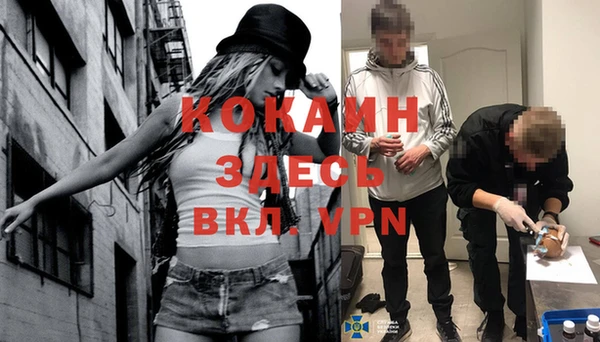 хмурый Каменногорск