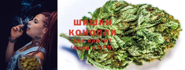 хмурый Каменногорск