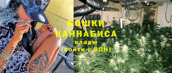хмурый Каменногорск