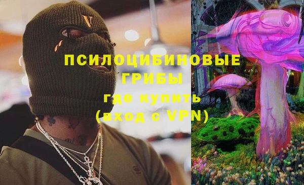 ECSTASY Каменск-Шахтинский