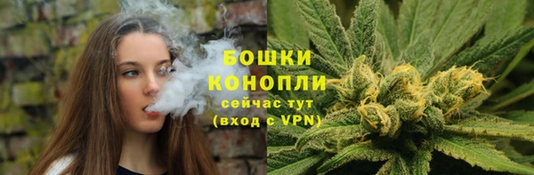 хмурый Каменногорск
