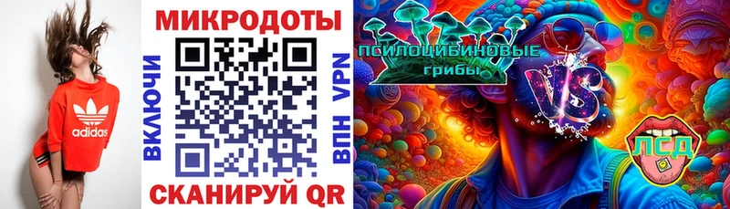 Галлюциногенные грибы Psilocybe  Купить закладки  Гусь-Хрустальный 